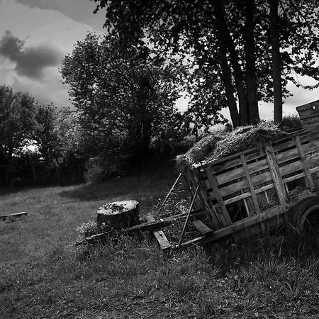 Bed & Breakfast Le Refuge Des Chevaliers Saint-Just-en-Chevalet